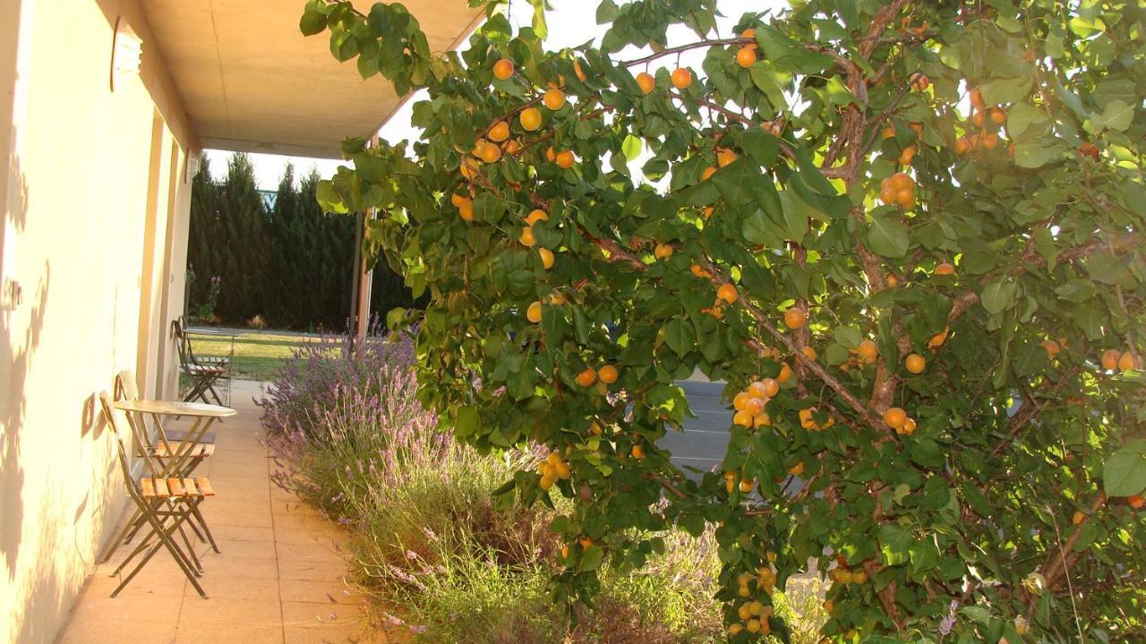 Abel Hotel Langeac Dış mekan fotoğraf